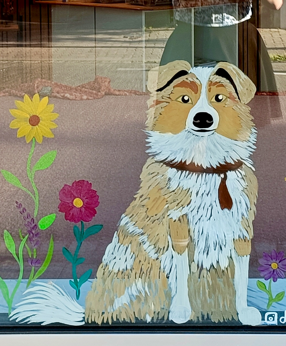 Dessirêve Illustrations vitrine personnalisée chien vitrine personnalisée chien 0 Dessirêve Illustrations vitrine personnalisée chien